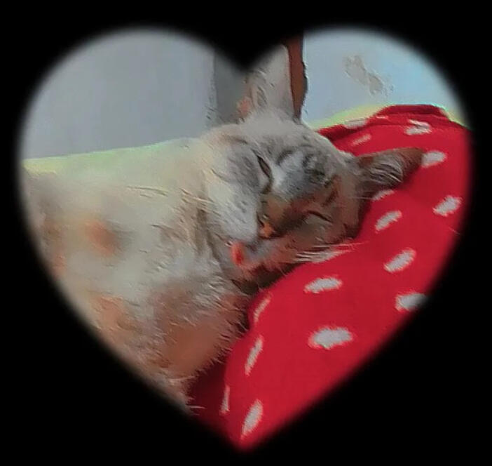 Have a nice day/ night